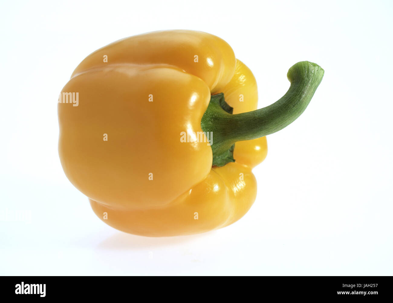Paprika, Capsicum Annuum, gelbe Paprika, weißer Hintergrund, Stockfoto