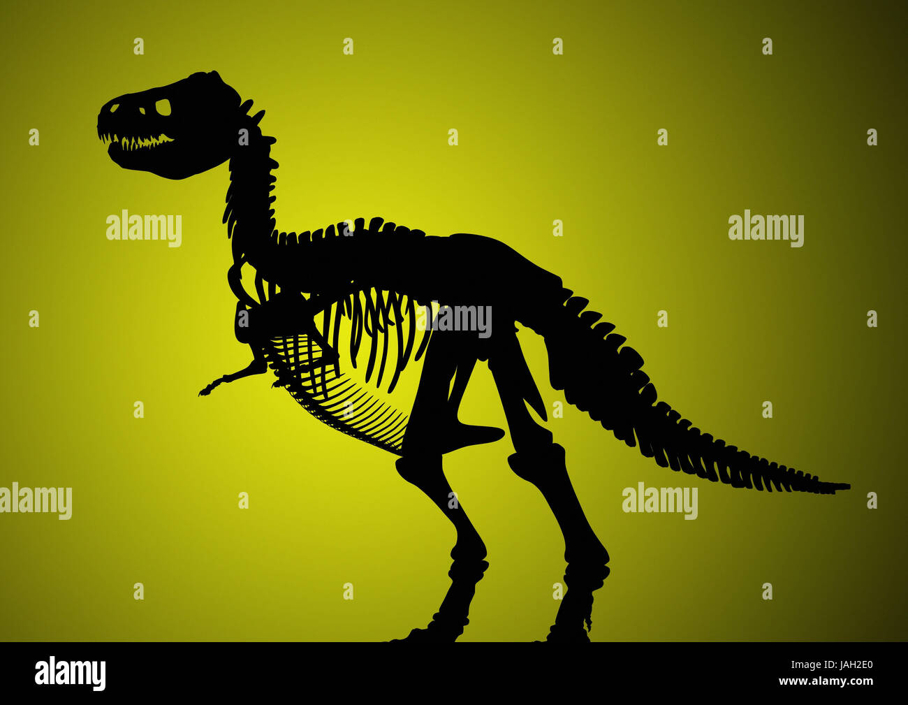 Dinosaurier Skelett, Silhouette, Stockfoto