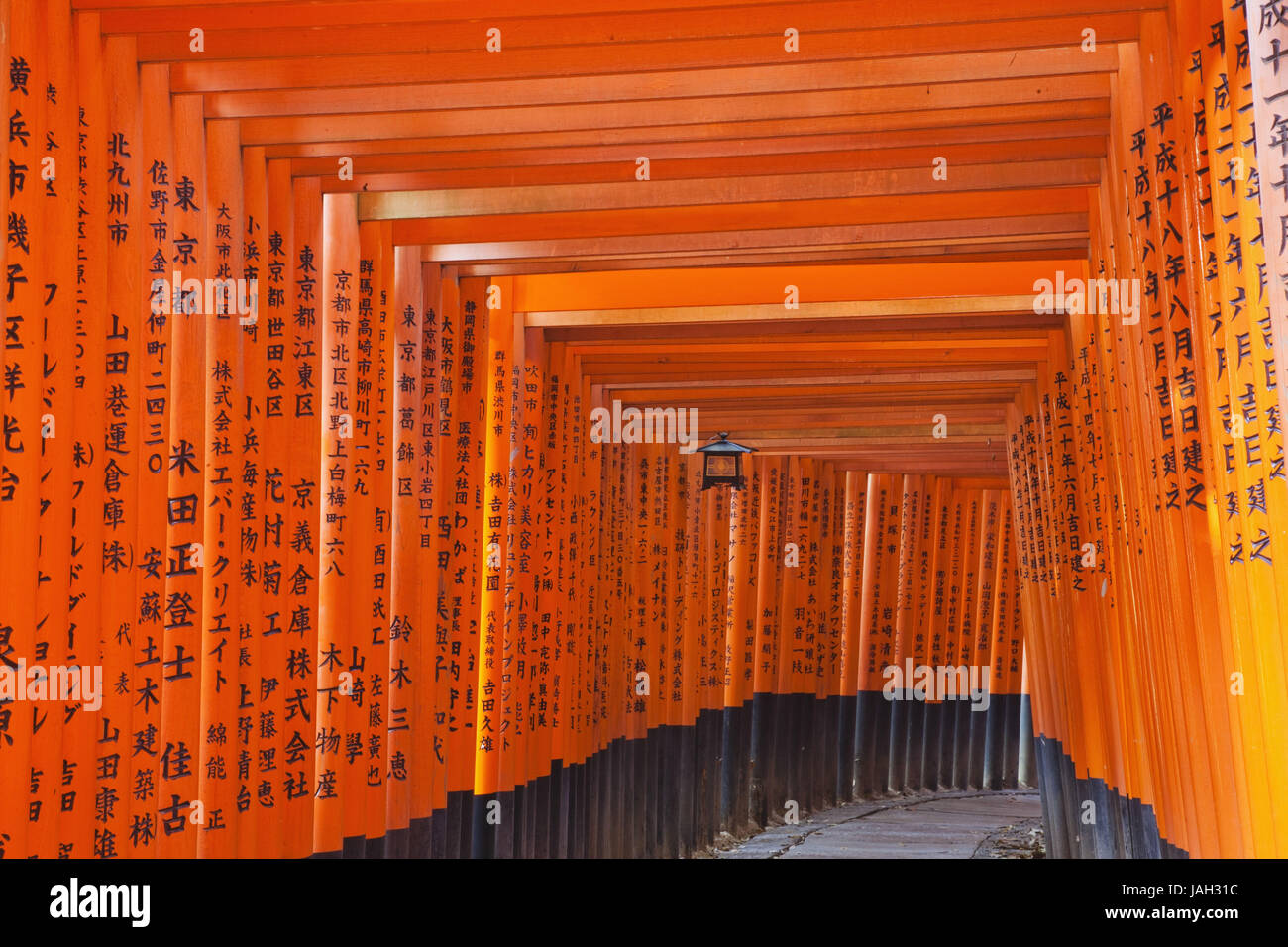 Japan, Kyoto, Fushimi Inari-Taisha Schrein, Weg, Ziele, Tunnel, rot, Stockfoto