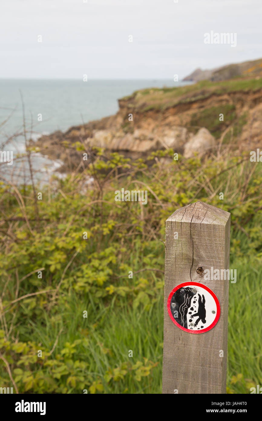 Gefahr anmelden Küstenpfad Warnung der zerbröckelnden Klippen an der Küste von Pembrokeshire in der Nähe von Abercastle Stockfoto