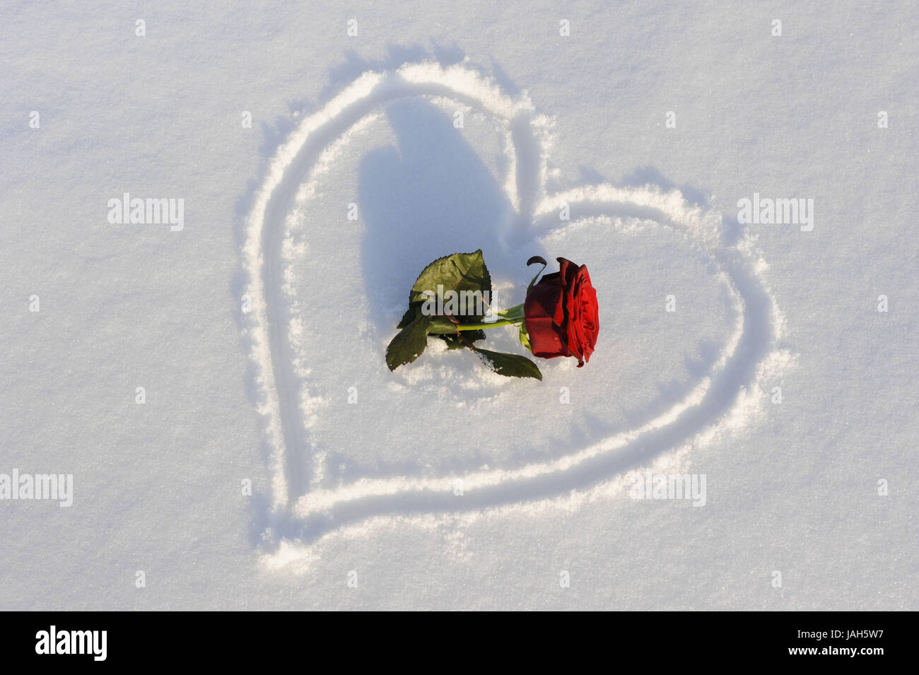 Liebe Herz im Schnee, rote rose, Symbol, Stockfoto