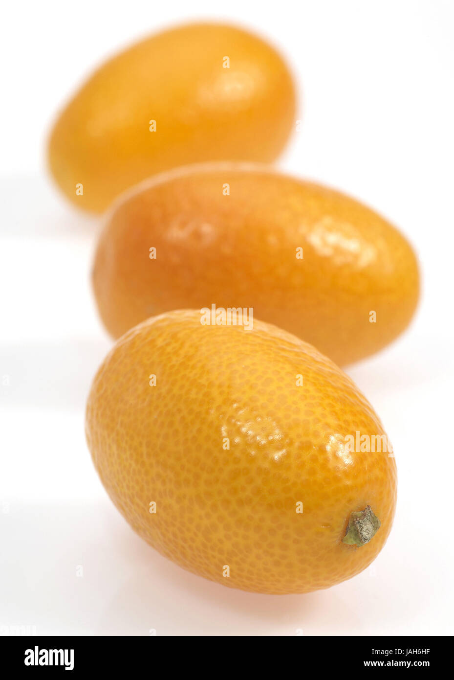Kumquat, Fortunella Margarita, Fötus, weißer Hintergrund, Stockfoto