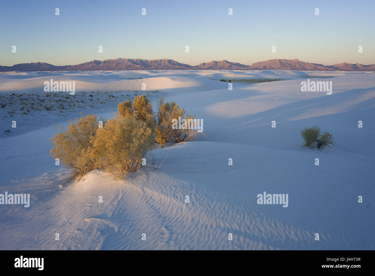 White Sand bundesweit Monument, New Mexico, USA, Stockfoto