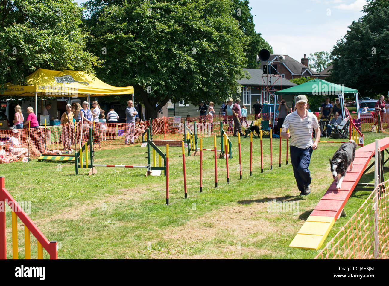 Ashley Green-Dog Agility Kurs - Chesham Stockfoto