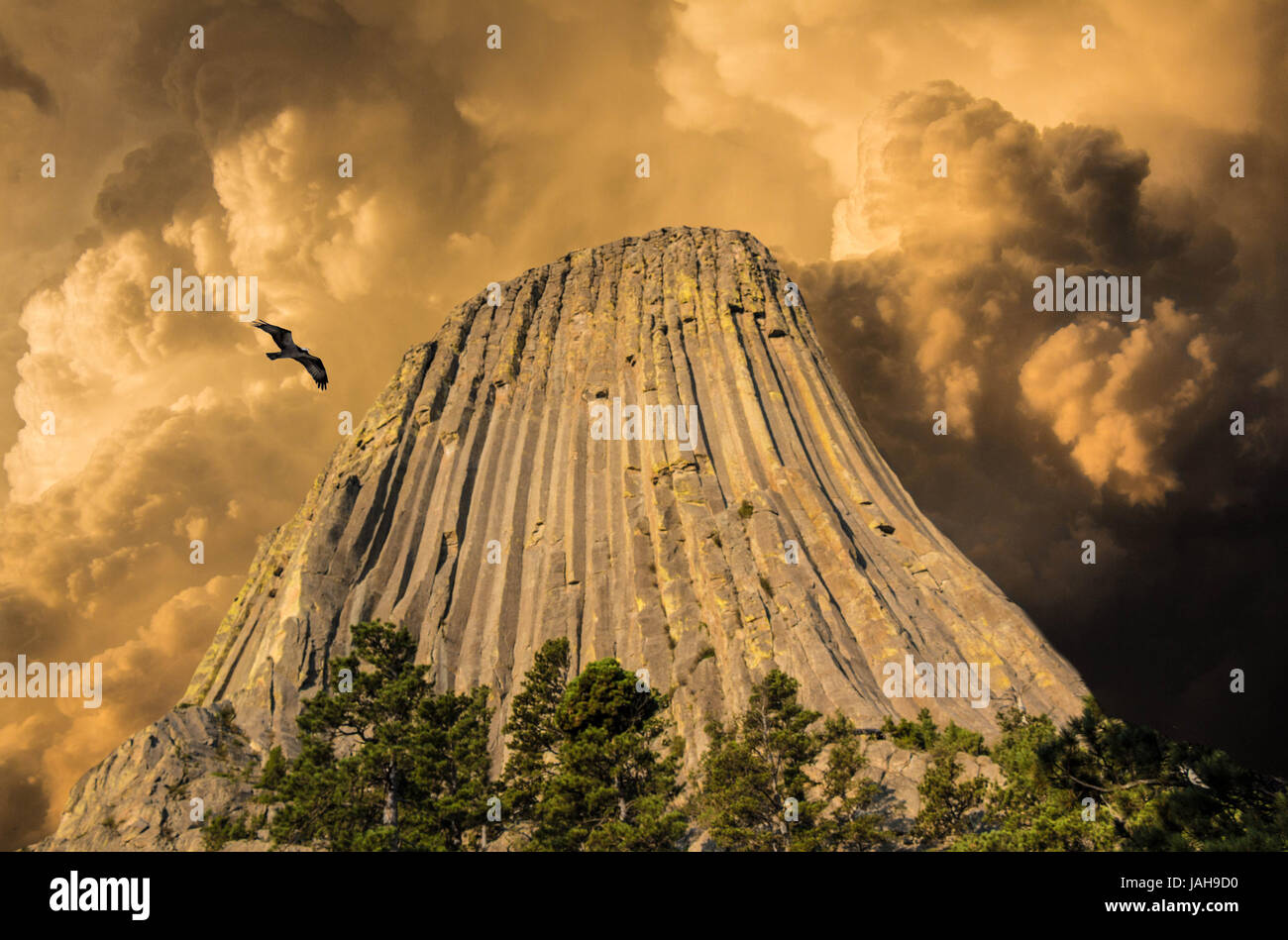 Des Teufels Turm, Wyoming Stockfoto