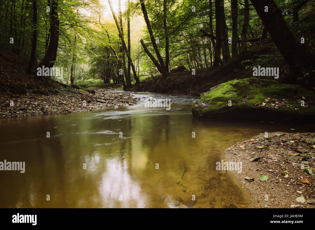 Wasser im Fluss Waldlandschaft, ruhige Naturlandschaft Stockfoto