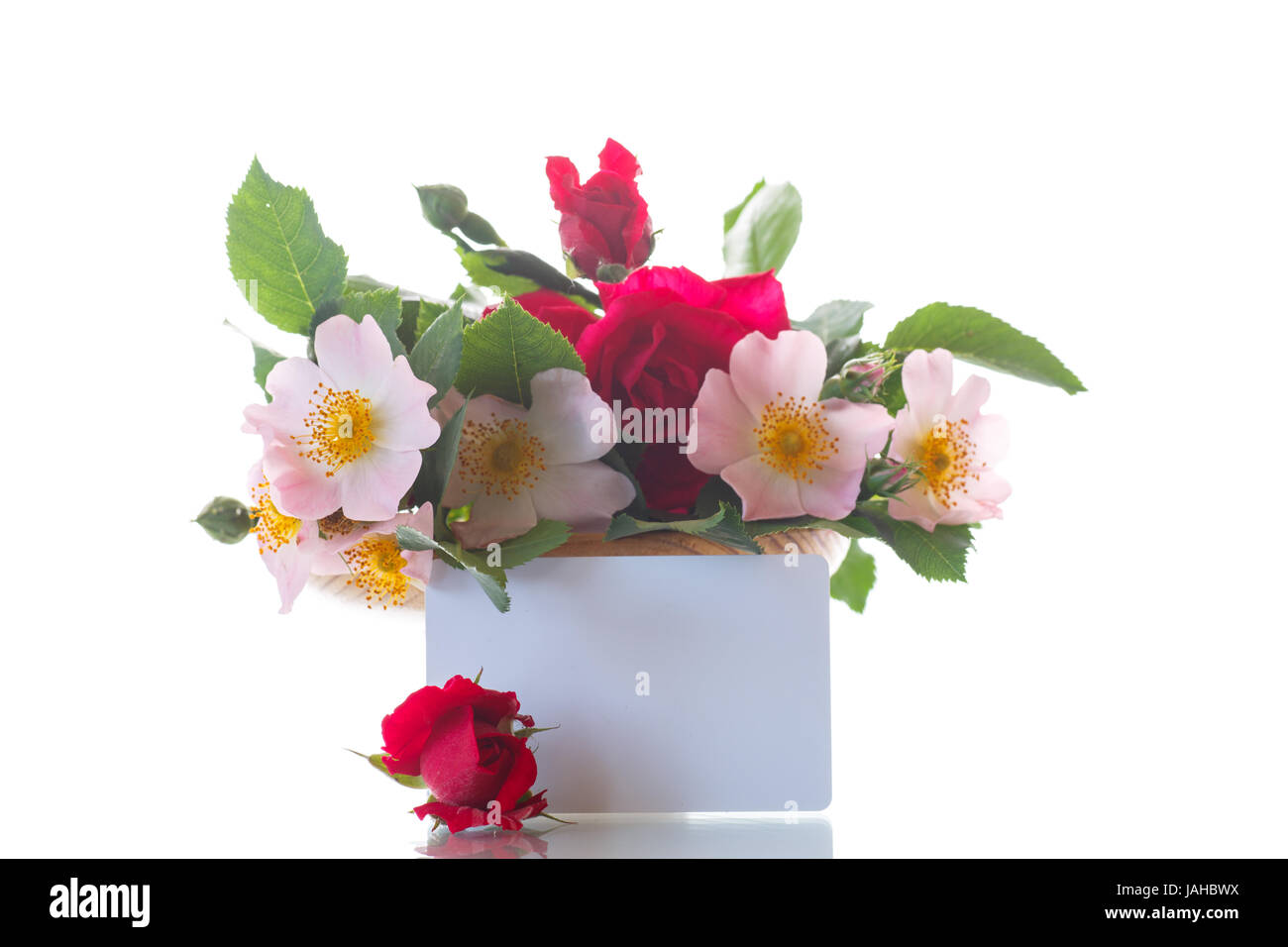 Bouquet von wilden und rote rose Stockfoto