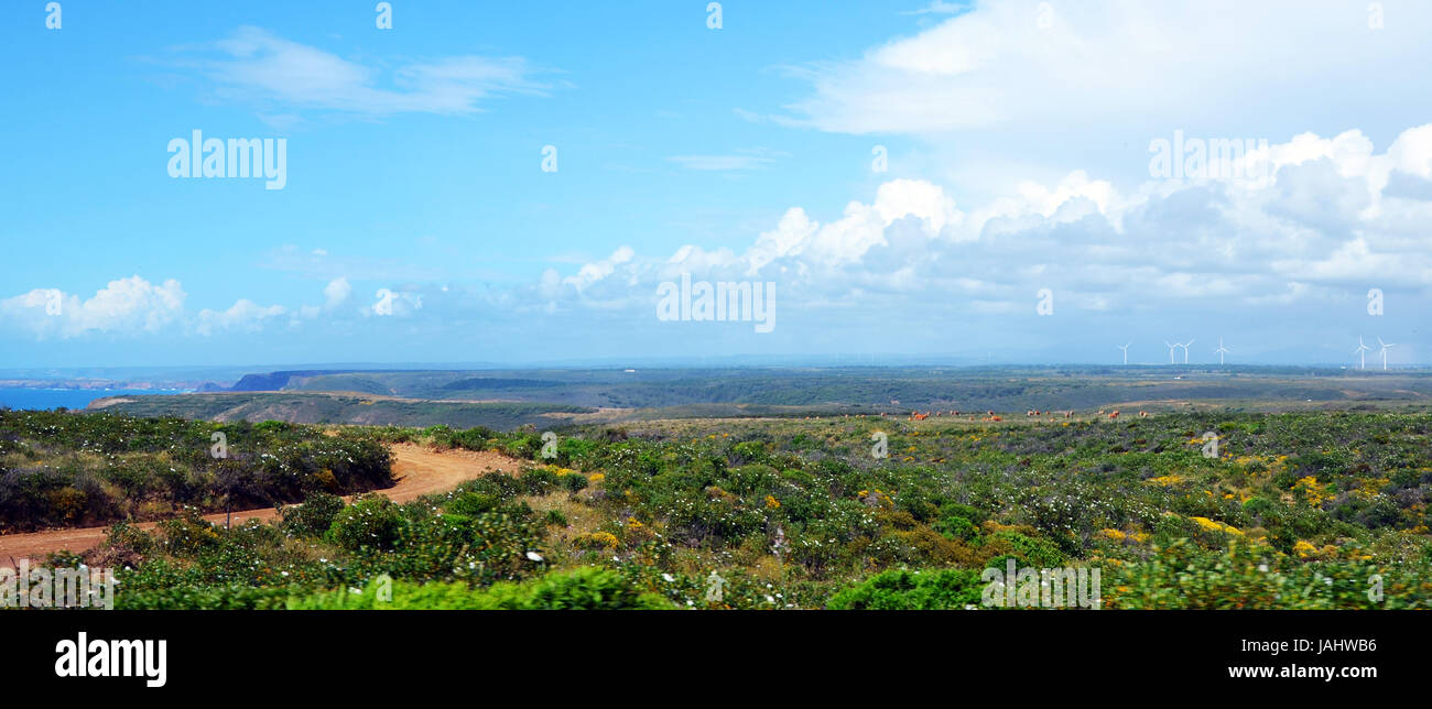 Wunderschöne Westküste der Algarve zwischen Praia Amado und Cabo de Sao Vincente (Costa Vicentina) mit Wolken Stockfoto
