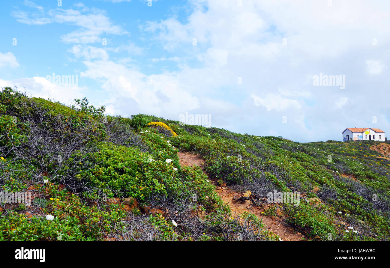 Einsame Weg in den Himmel, Westküste der Algarve, Portugal im Frühjahr Stockfoto
