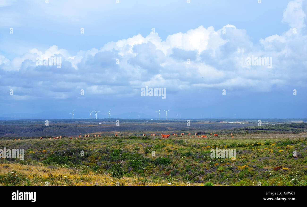 Wunderschöne Westküste der Algarve zwischen Praia Amado und Cabo de Sao Vincente (Costa Vicentina) mit Wolken Stockfoto