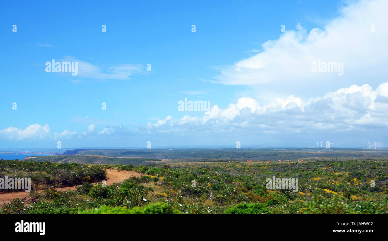 Wunderschöne Westküste der Algarve zwischen Praia Amado und Cabo de Sao Vincente (Costa Vicentina) mit Wolken Stockfoto