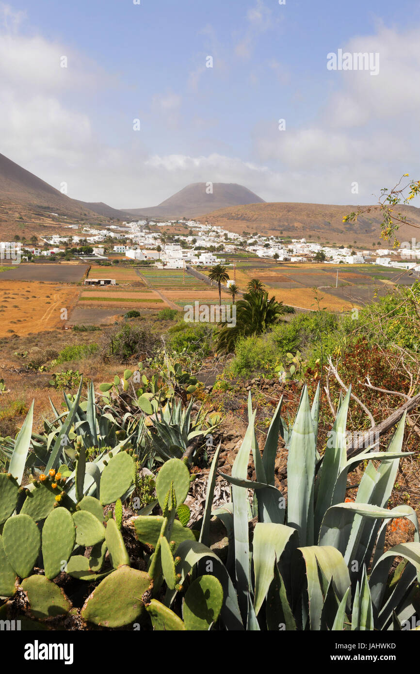 Lanzarote-Landschaft - Palm Bäume, weißen Gebäuden eines Dorfes, schlafender Vulkan und blauer Himmel, Lanzarote, Kanarische Inseln, Europa Stockfoto