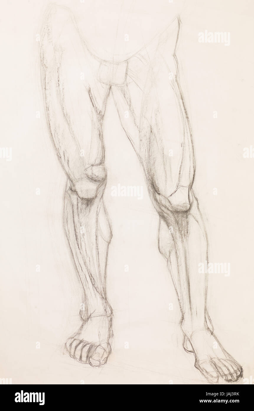 Hand Gezeichnet Bleistift Illustration Des Menschlichen Beinen Anatomie Studie Stockfotografie Alamy