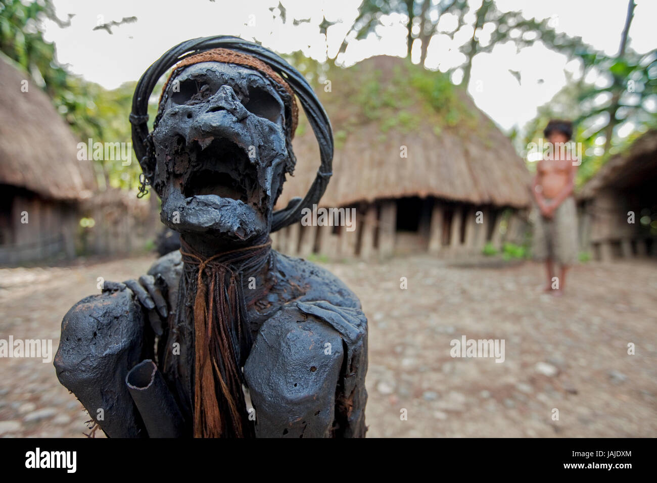 Dani-Stamm im Baliem-Tal, West-Papua, Indonesien, Asien Stockfoto