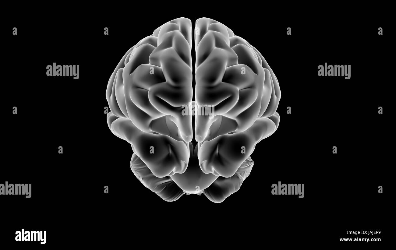 XRAY Gehirn isoliert auf schwarzem Hintergrund Stockfoto