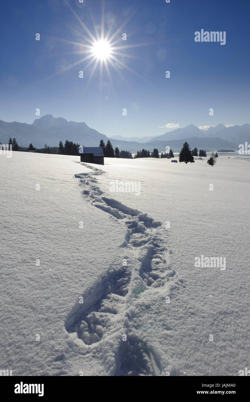Spuren von Schneeschuhen in der Forggensee im Allgäu Stockfoto