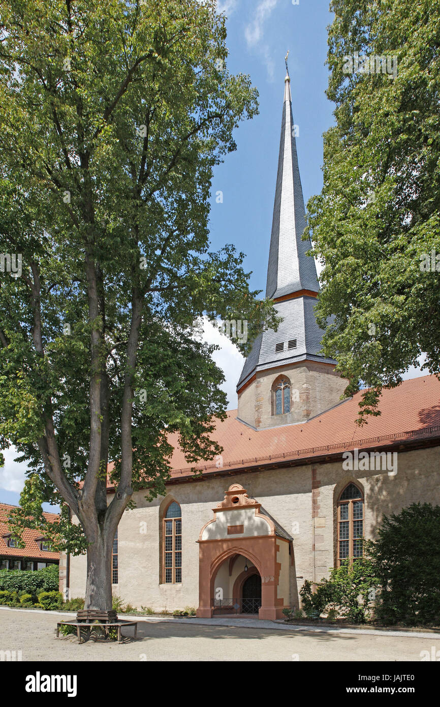 Deutschland, Hessen, Nordhessen, Slot, evangelische Stadtkirche, außerhalb, Nordhessen, Altstadt, Kirche, Kirche, Kirche, glauben, Religion, Christentum, Turm, Baum, Stockfoto