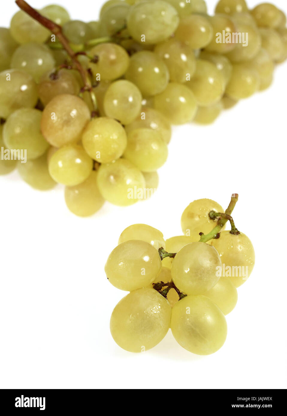 Weiße Trauben, Vitis Vinifera, weißer Hintergrund, Stockfoto