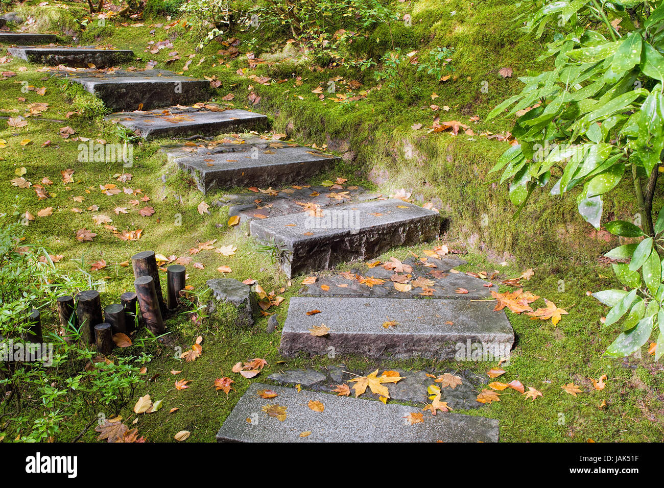 Asiatisch inspirierte japanischer Garten Granit Platten Steinstufen mit Moos und Blätter fallen Stockfoto