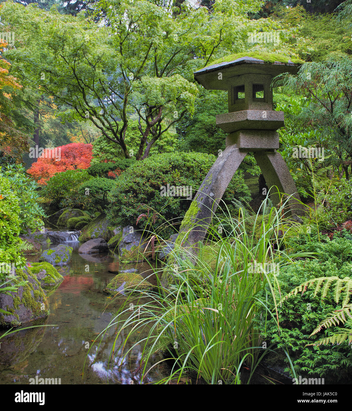 Japanische Steinlaterne im Garten mit Steinen Bäume Pflanzen und Sträucher von Strom des Wassers während der Herbst-Saison Stockfoto