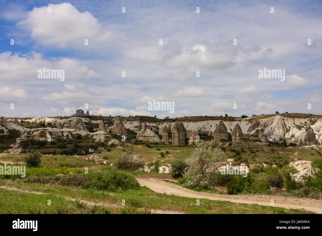 Horizontalen Schuss der Feenkamine von Kappadokien in der Türkei im Frühjahr mit grünem Rasen und kleine Bäume an bewölkten Tagen erschossen Stockfoto