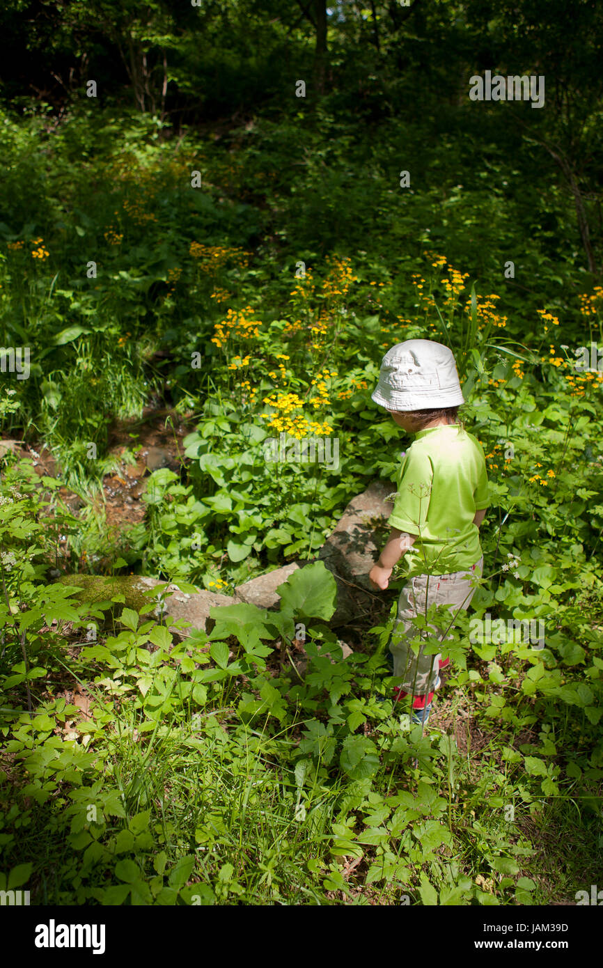 Kind, Alter 4, spielen allein im Wald - USA Stockfoto