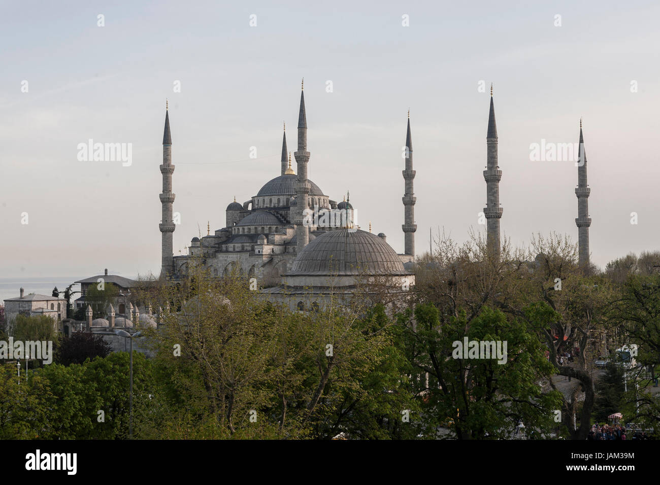 Die blaue Moschee (Sultan Ahmet Camii), Sultanahmet, Istanbul, Türkei Stockfoto