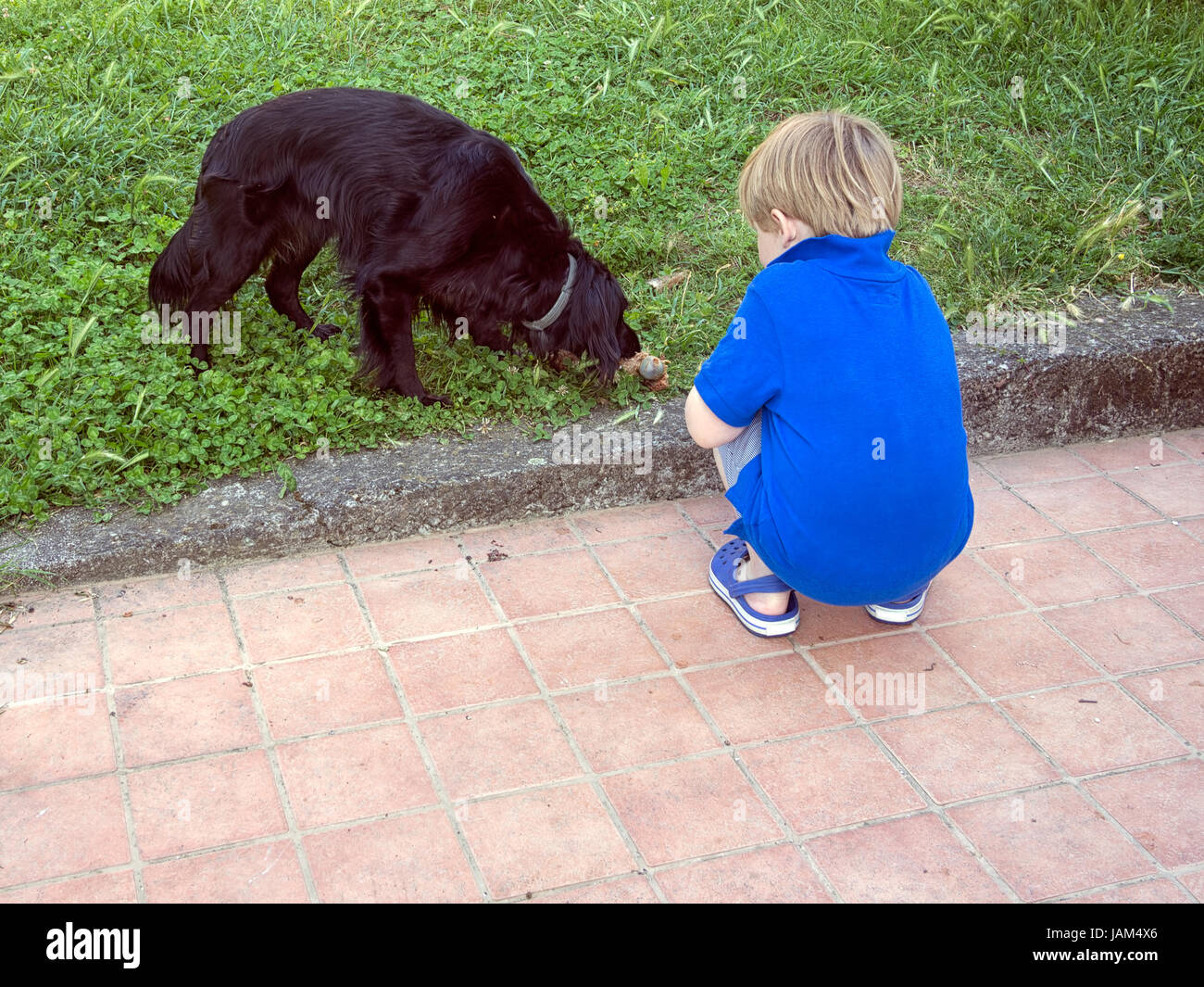 Kleiner Junge Uhren Hund mit Knochen. Faszination! Spielen im Freien. Stockfoto