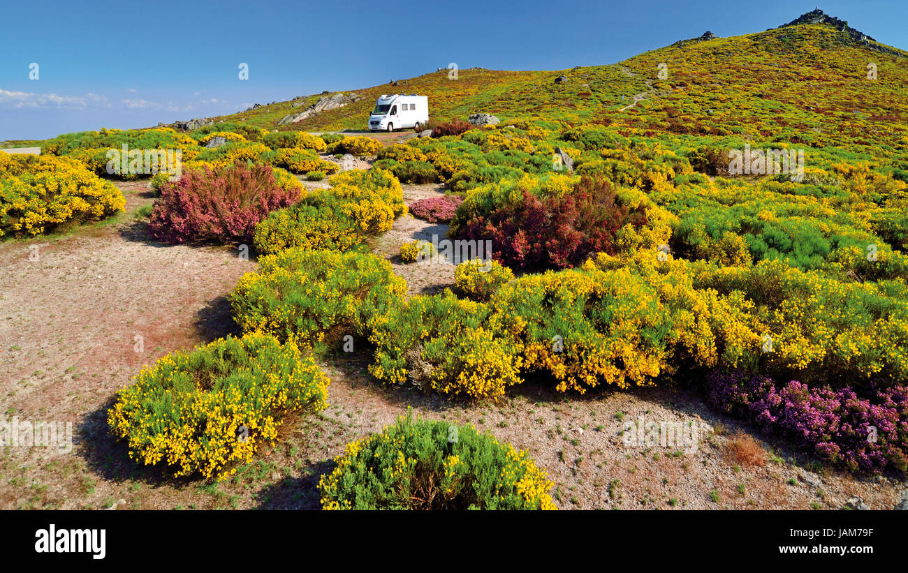 Wohnmobil allein inmitten grüner Berg Vegetation mit gelb und Violett Blumen in voller Blüte Stockfoto