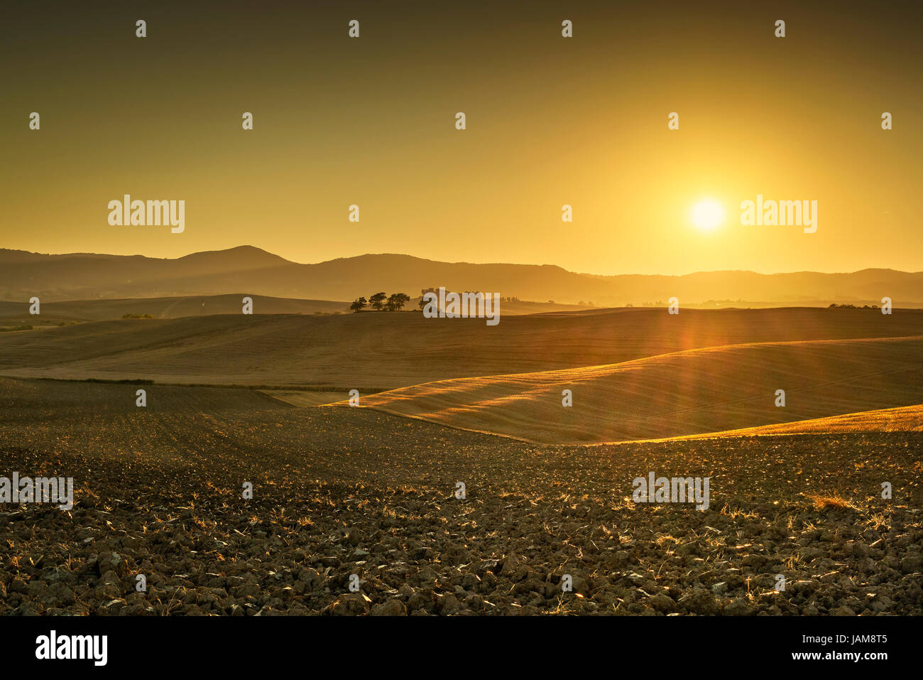 Toskana Maremma Sonnenuntergang. Bäume, Hügeln und grünen Wiesen und Sonne bei Gegenlicht. Landschaft des Landes. Italien, Europa. Stockfoto