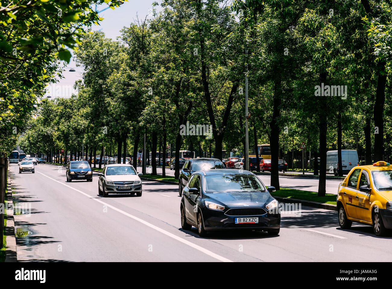 Bukarest, Rumänien - 24. Mai 2017: Kiseleff Straße ist einem großen Boulevard in Bukarest, die als nördliche Fortsetzung der Victory Street (Calea Vict ausgeführt wird Stockfoto