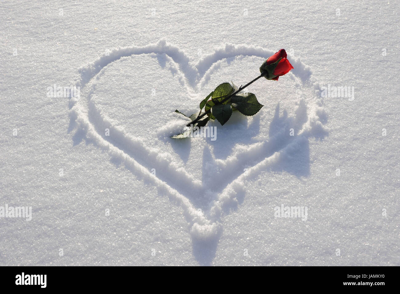 Liebe Herz im Schnee, rote rose, Symbol, Stockfoto