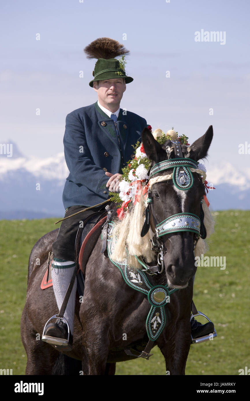 Deutschland, Bayern, Allgäu, Allgäu, des Königs Winkel, Berg Auer, Georgi Ritt, Pferd, bluten, kein Model-Release, Tradition, Traditionen, Folklore, Tier, Säugetier, Osten profitieren, Tier, dekoriert, Pilgerreise, Wallfahrt des Pferdes, glauben, Religion, Christentum, Person, Mann, Reiten, Wiese, Hintergrund, Berge, sonnig draußen, Blumenschmuck, Costume national, Stockfoto