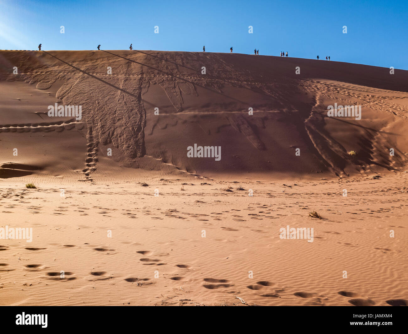 Big Daddy Düne in der Namib Naukluft National Park, Sesriem, Namibia Stockfoto
