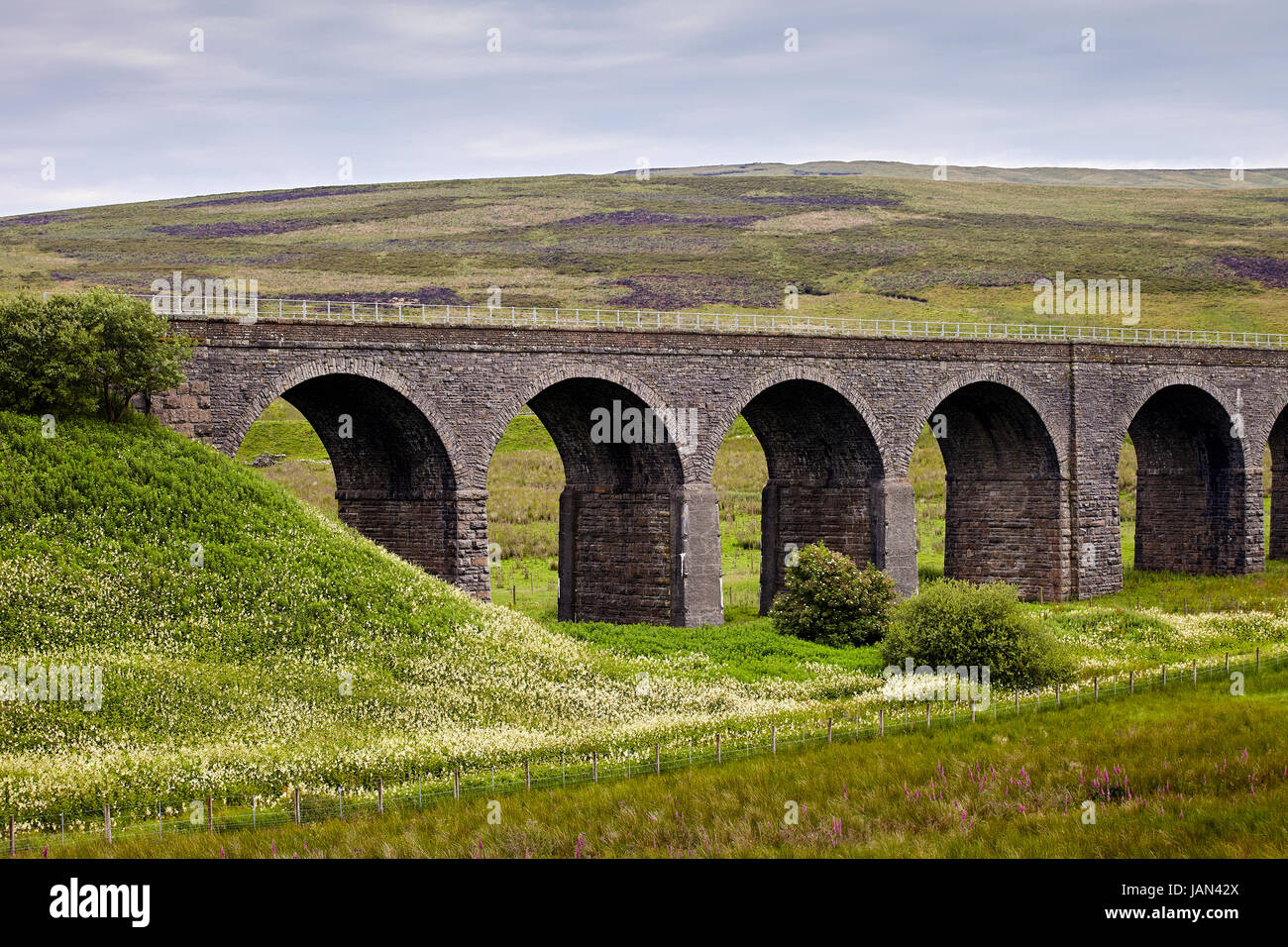 Garsdale Viadukt, Yorkshire Dales, Cumbria Grenze, Pennines. Stockfoto
