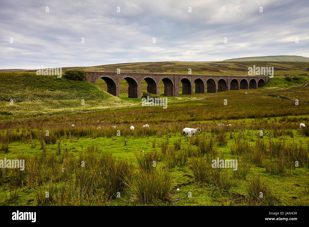 Garsdale Viadukt, Yorkshire Dales, Cumbria Grenze, Pennines. Stockfoto