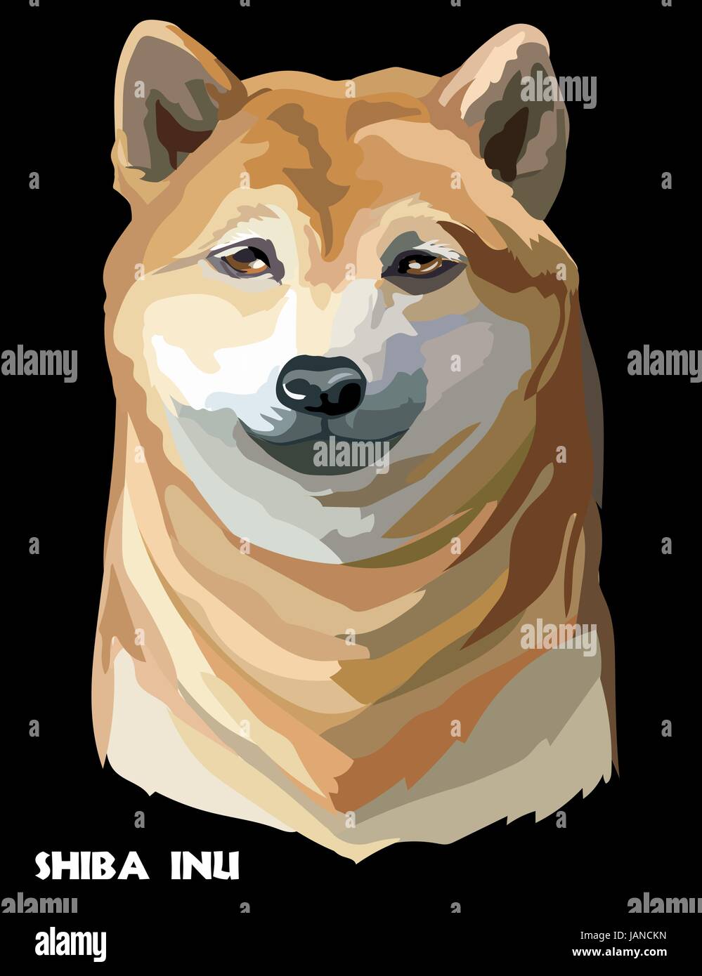 Farbigen Hund Shiba Inu isoliert Vektor Porträt auf schwarzem Hintergrund Stock Vektor