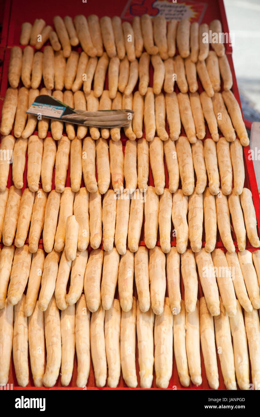 WEIßEN Spargel auf dem Platz speichern 2017white Stockfoto