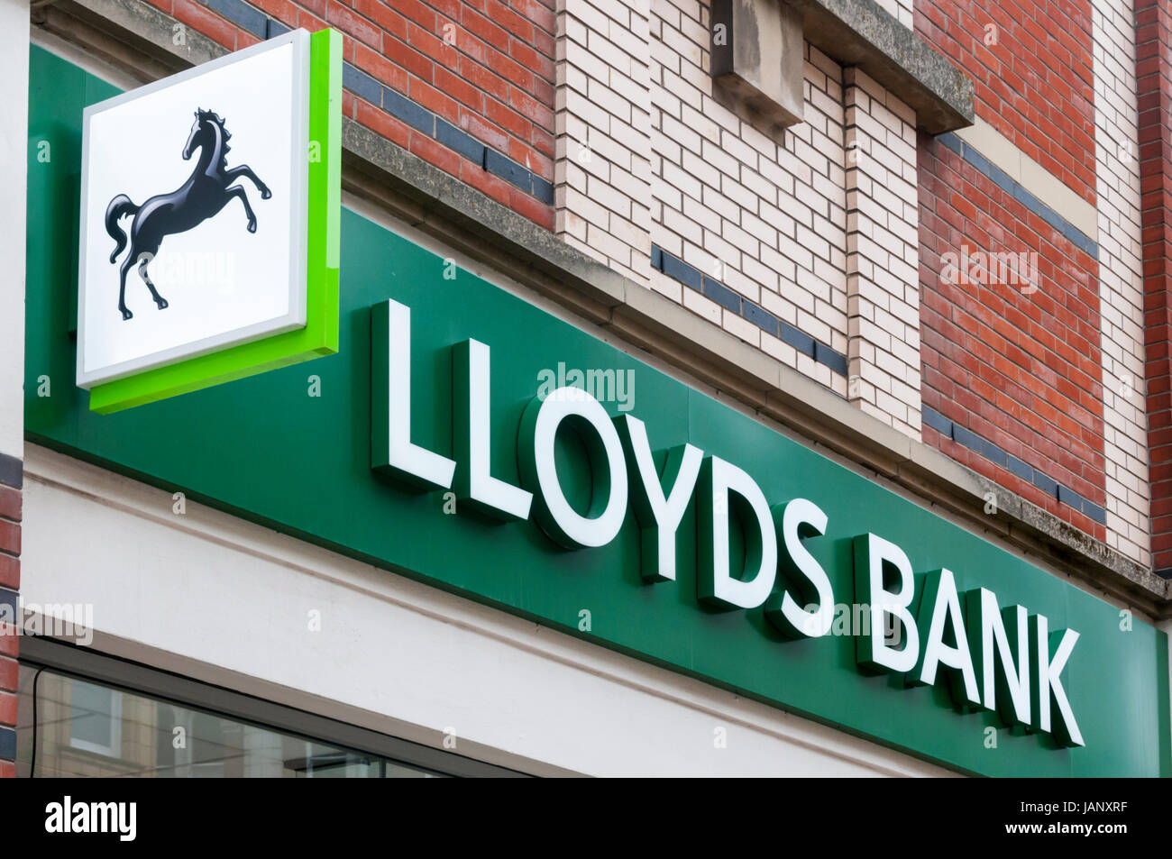 Lloyds Bank Black Horse Zeichen und Namen über eine Filiale der Bank in Großbritannien. Stockfoto