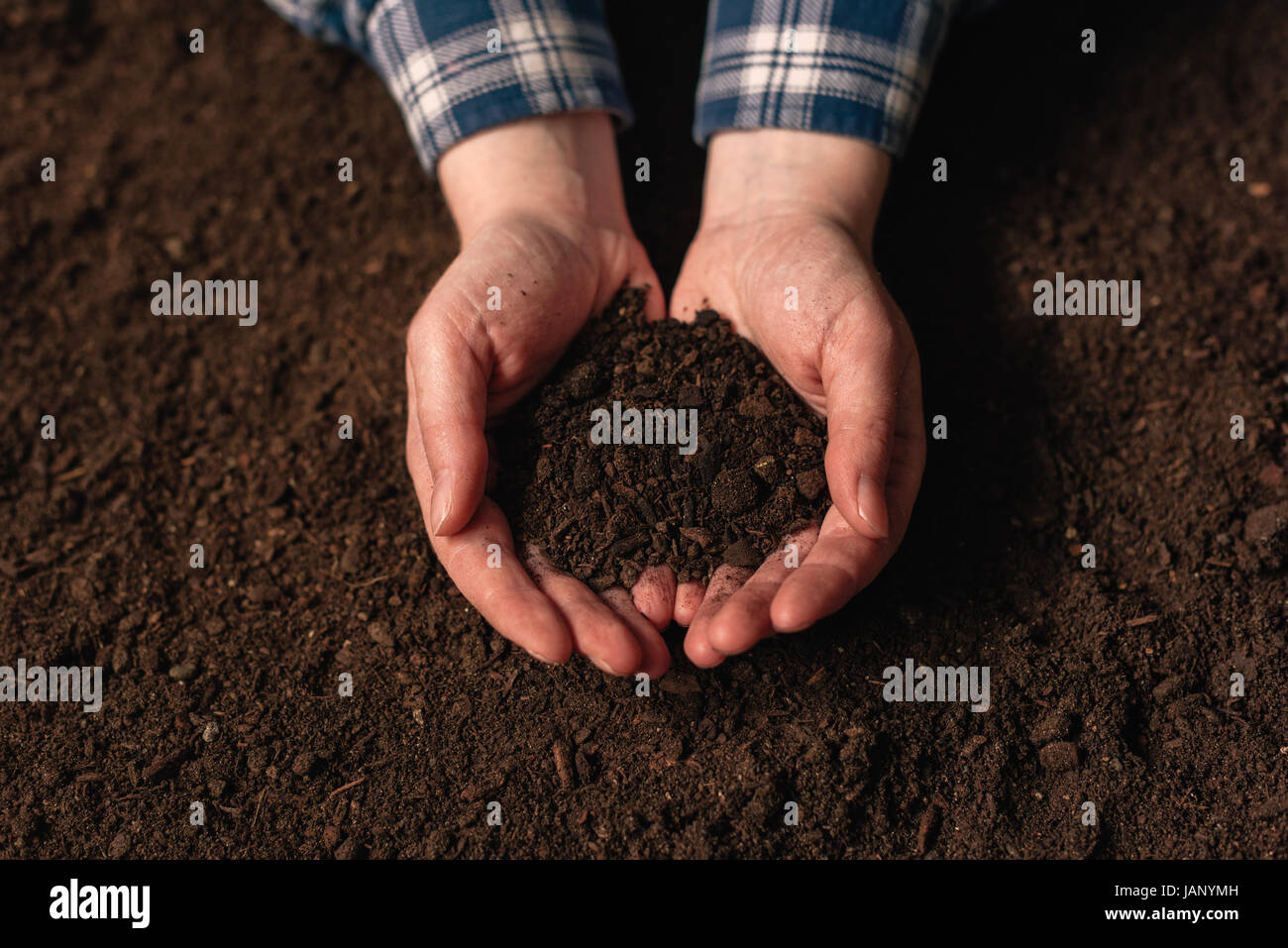Bodenanalyse Fruchtbarkeit als landwirtschaftliche Tätigkeit, Bäuerin Holding Ackerland gepflügt Schmutz in der hohlen Hand Stockfoto
