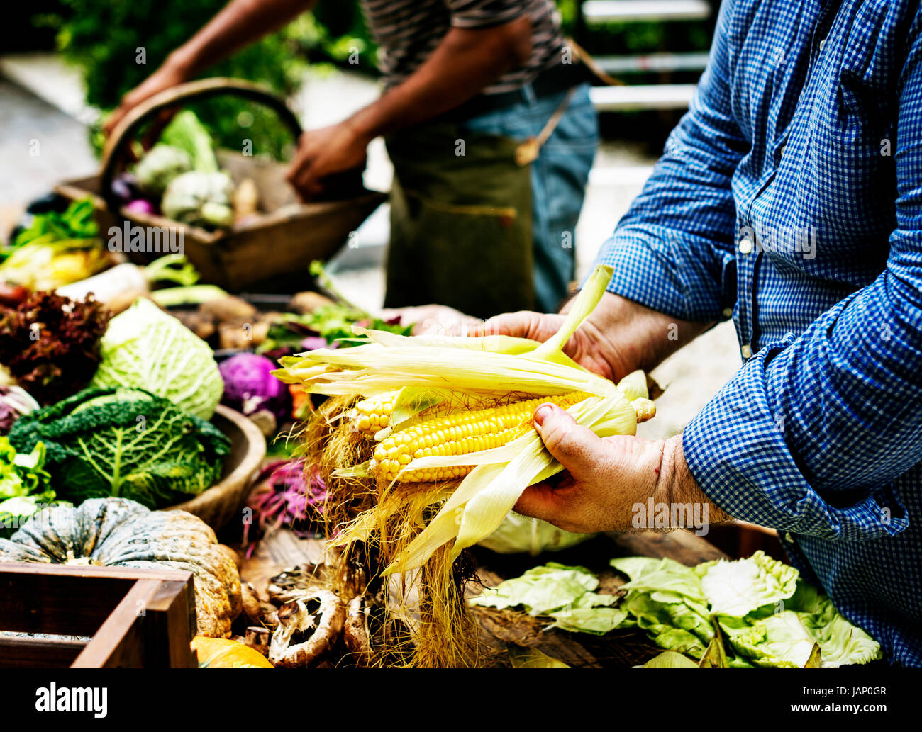 Nahaufnahme von Händen mit Auswahl frische Hühneraugen Stockfoto