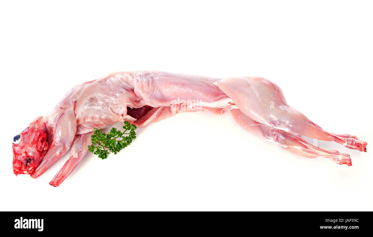 Kaninchenfleisch vor weißem Hintergrund Stockfoto