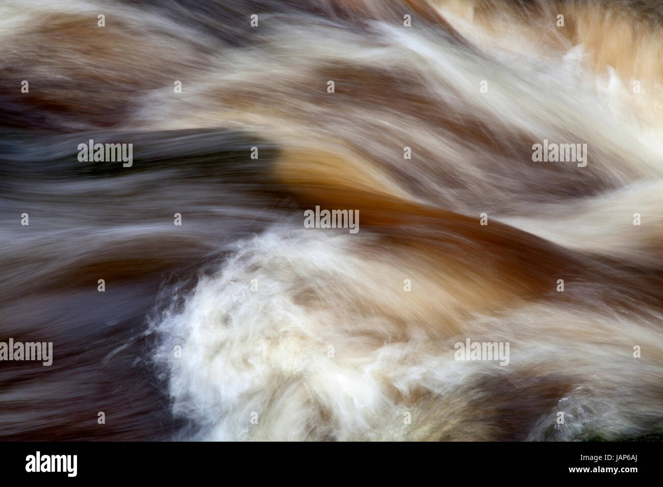 Fluß Wharfe im Strid, Bolton Abbey Estate, Wharfedale, Yorkshire Dales Stockfoto