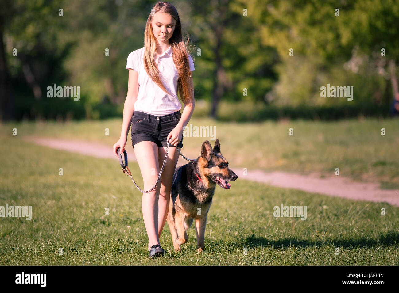 Teenager-Mädchen in weißen Hemd mit ihrem Schäferhund-Hund im Park spazieren Stockfoto