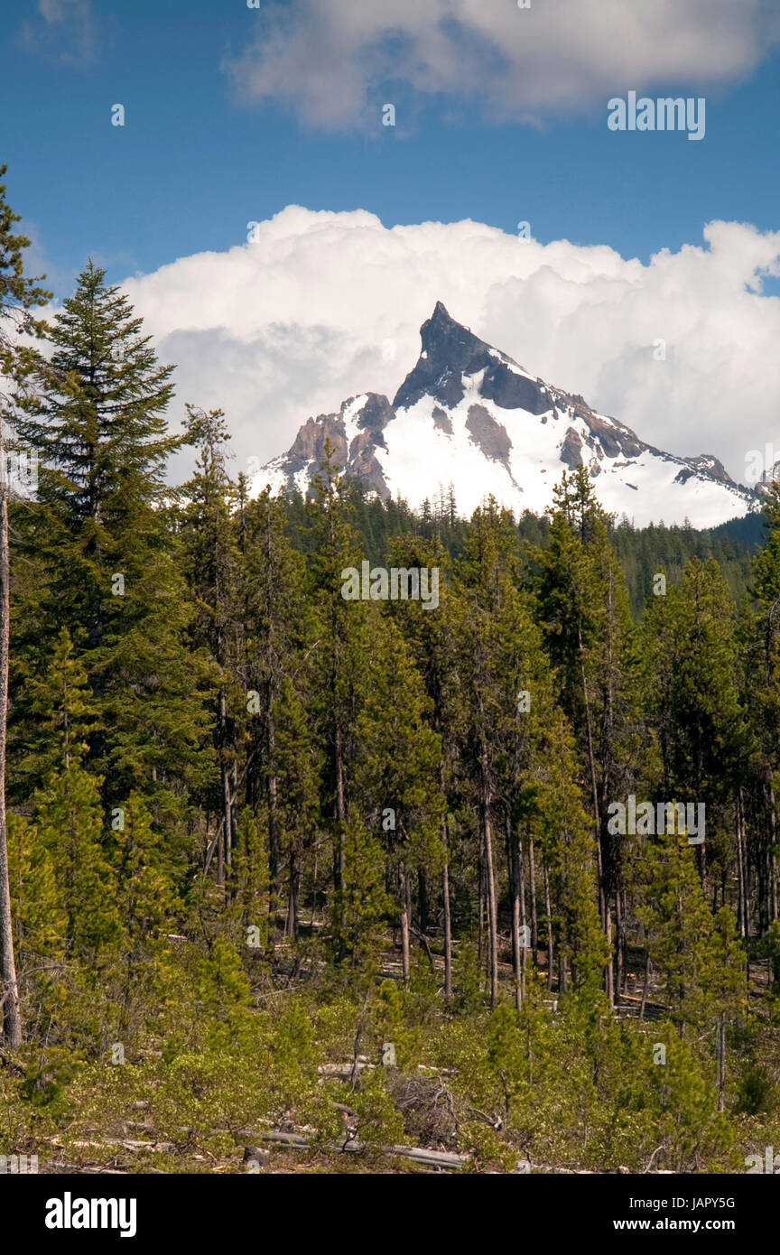 Der Oregon hohe Kaskade hat mehrere Gipfel über 9.000 qm Stockfoto
