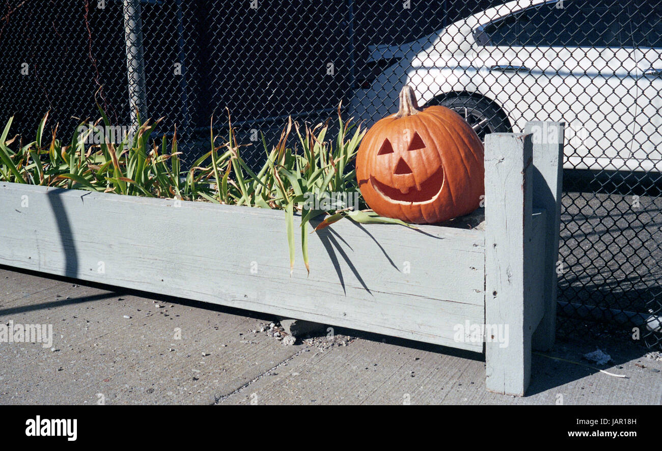 Jack-o-Laterne Stockfoto