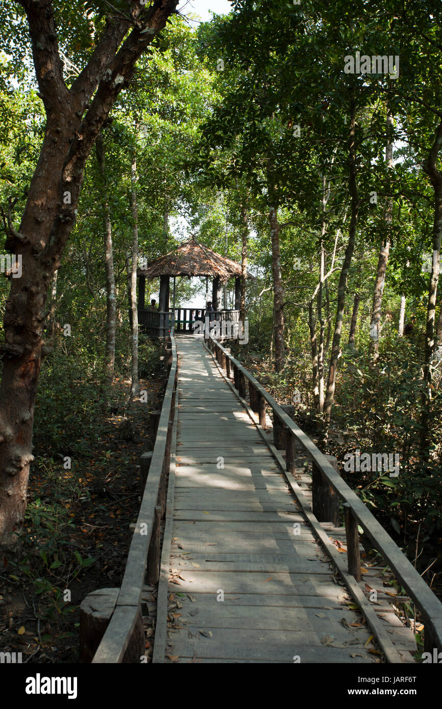 Holz-Trail am Kochikhali Eco Tourism Centre in Sunderbans, ein UNESCO-Weltkulturerbe und ein Naturschutzgebiet. Die größte littoral Mangrove fore Stockfoto