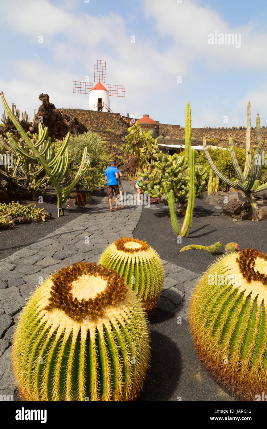 Lanzarote kaktus garten Fotos und Bildmaterial in hoher Auflösung Alamy