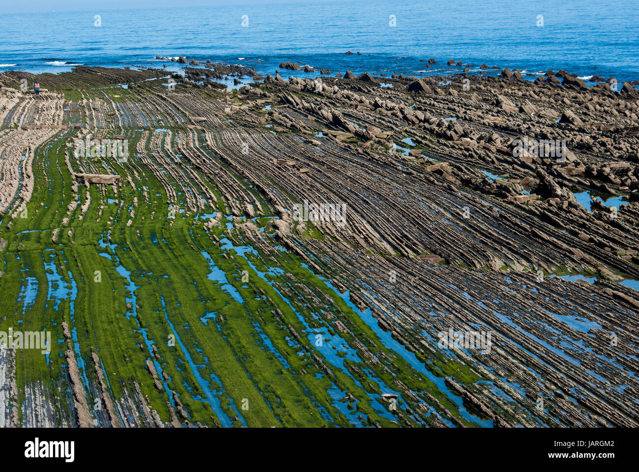 Flysch, Sakoneta Strand, Baskenland Stockfoto