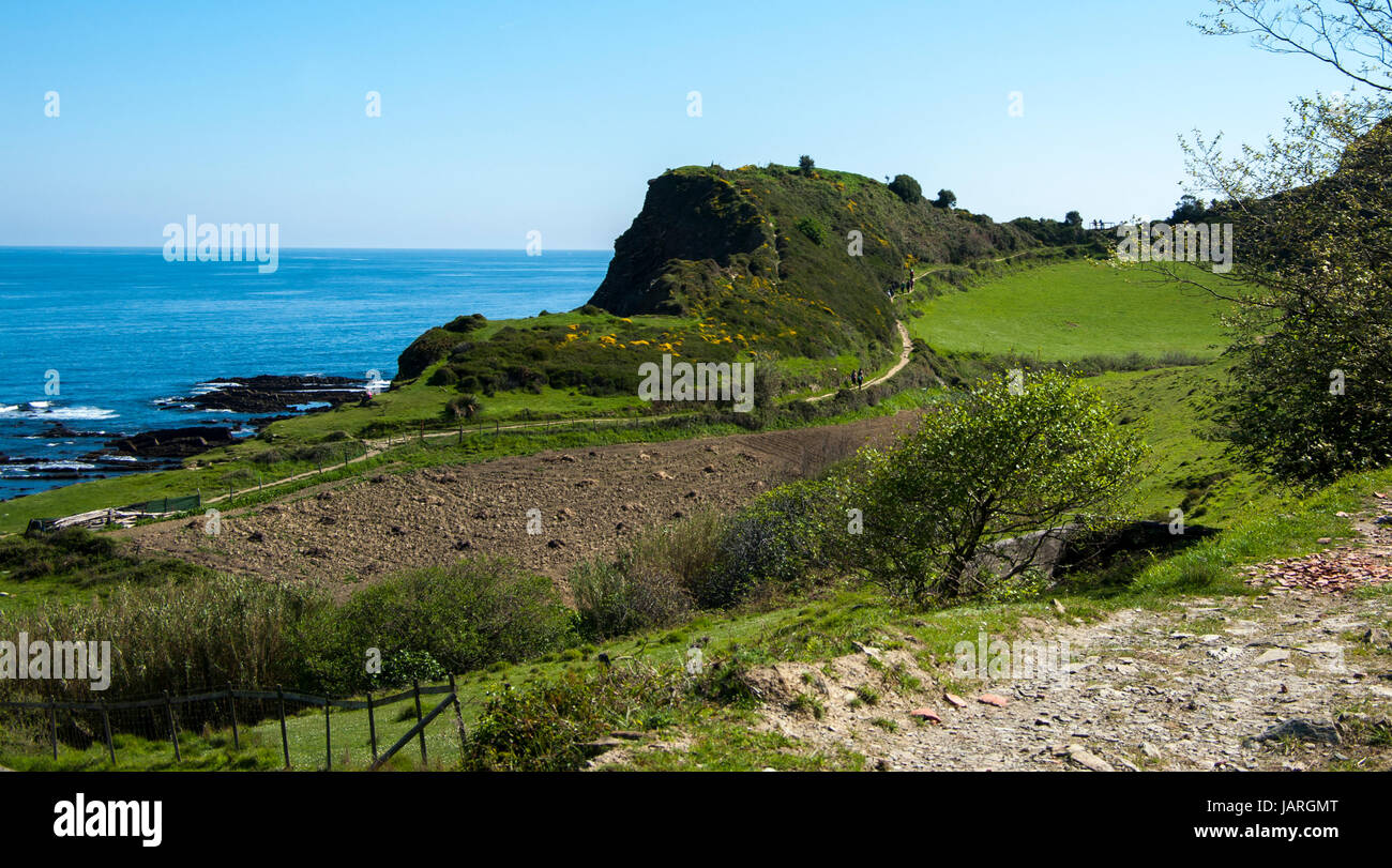 Flysch, Sakoneta Strand, Baskenland Stockfoto